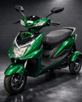 HANDICAP with LFP Battery & 1 Year Warranty