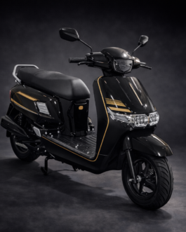 BMW Model with LFP Battery & 1 Year Warranty